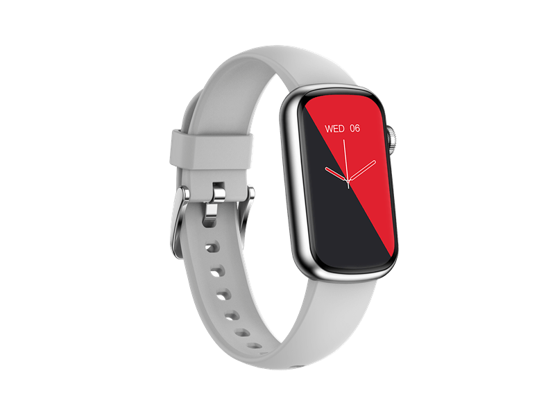 Garett Action Okosóra, ezüst