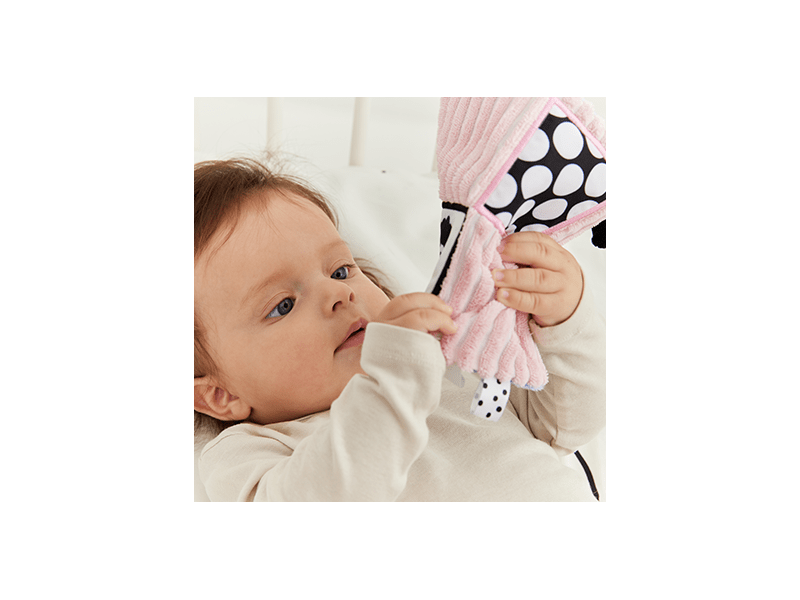 GaGaGu Pólya - Bárány, tigris (9781)