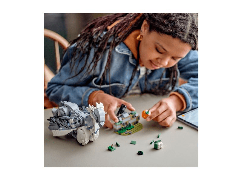 LEGO® Harry Potter™ Hogwarts™ (76427)