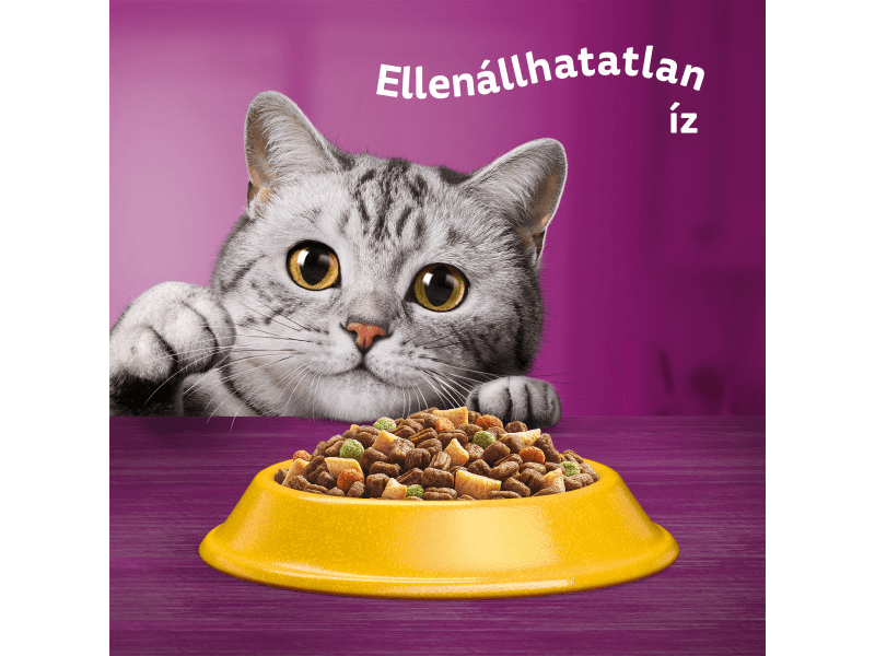 Whiskas száraztáp csirkehússal felnőtt macskák számára, 300g