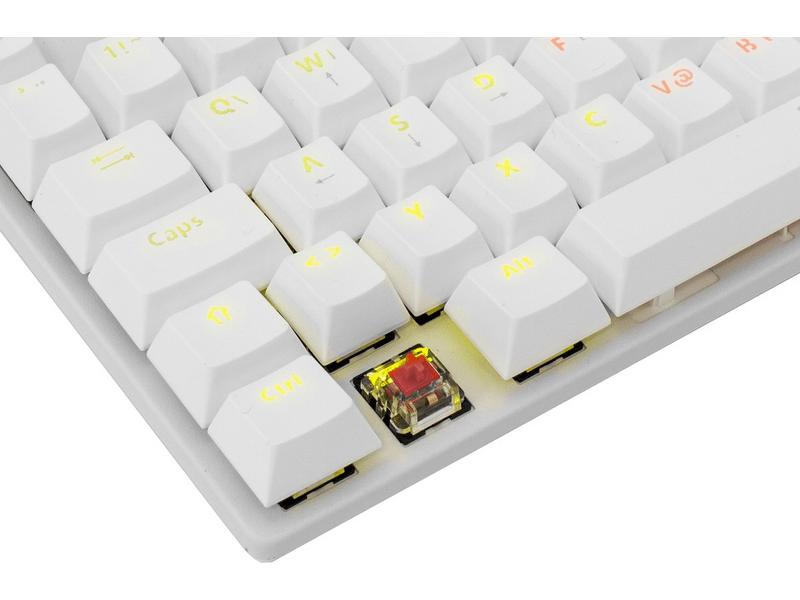 White Shark COMMANDOS Red Switch US Gamer billentyűzet, fehér