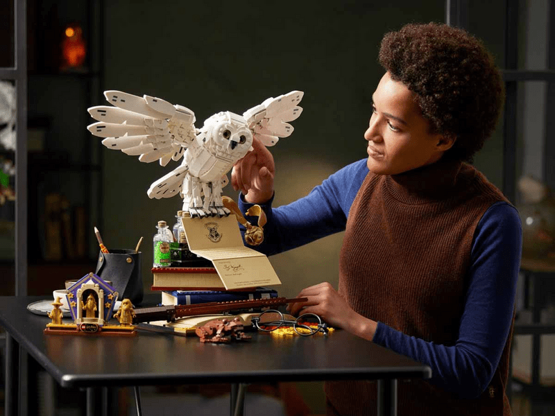 LEGO® Harry Potter™ Hogwarts™ Ikone - Kolekcionarsko izdanje (76391)