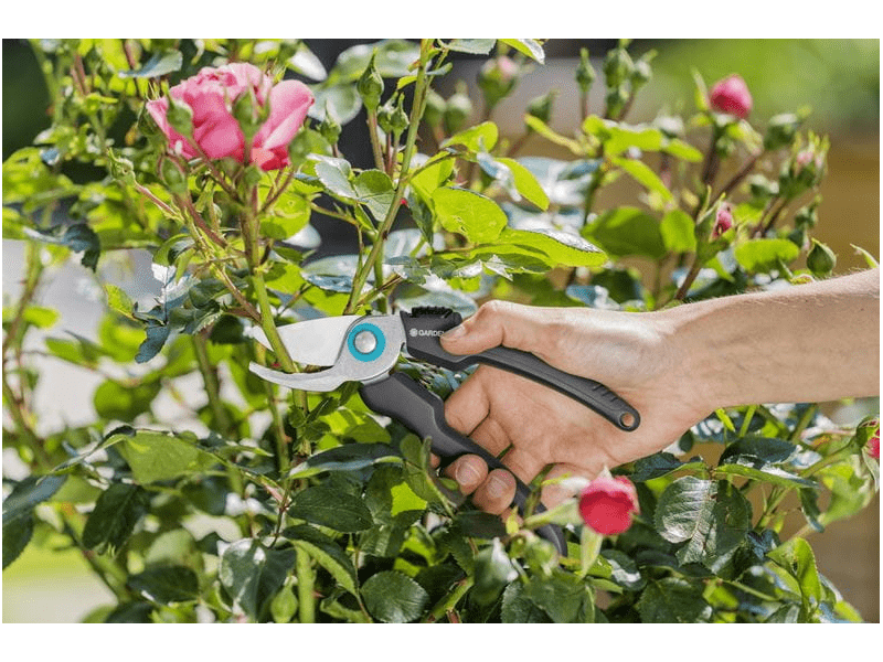 Gardena EcoLine 12210-20 Škare