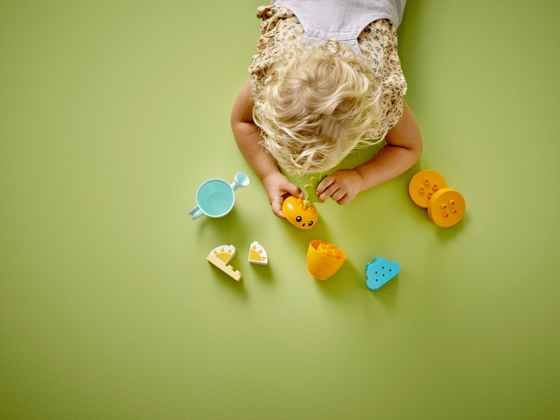 LEGO® DUPLO Sárgarépa-ültetés (10981)