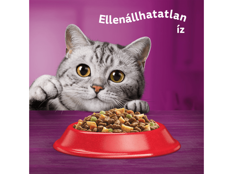 Whiskas száraztáp marhahússal felnőtt macskák számára, 300 g