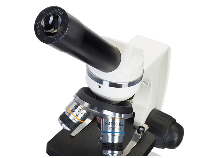 Levenhuk Discovery Femto Polar mikroszkóp és könyv (79221)