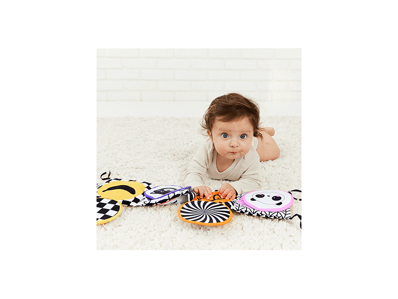 GaGaGu Fejlesztő könyv - Tigris (9788)