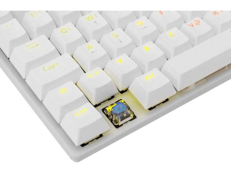 White Shark COMMANDOS Blue Switch US Gamer billentyűzet, fehér