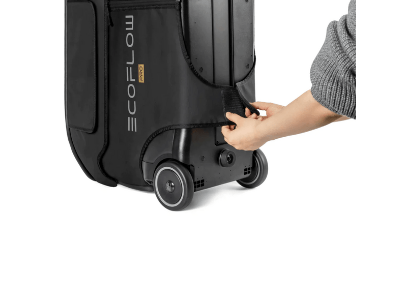 EcoFlow Delta Pro táska