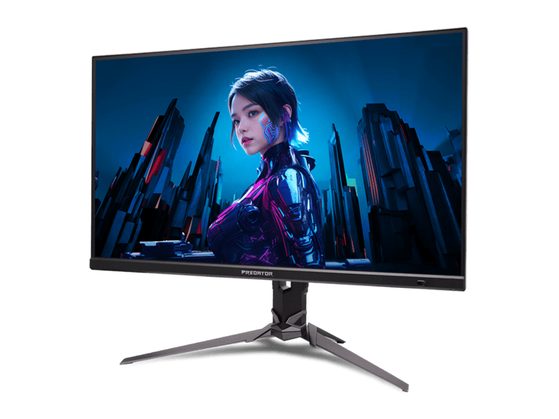 Acer Predator XB273K V5bmiiprx (UM.HX3EE.501) 27
