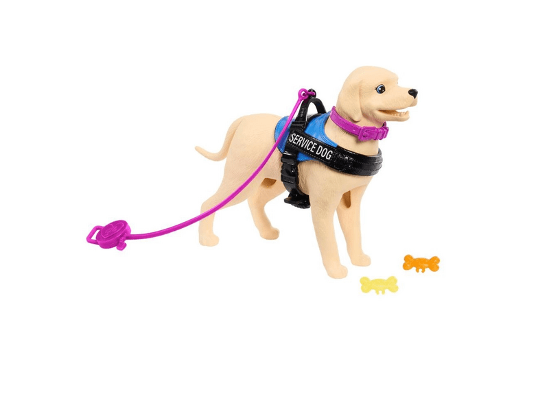 Barbie Kerekesszékes baba kutyussal (HJY85)