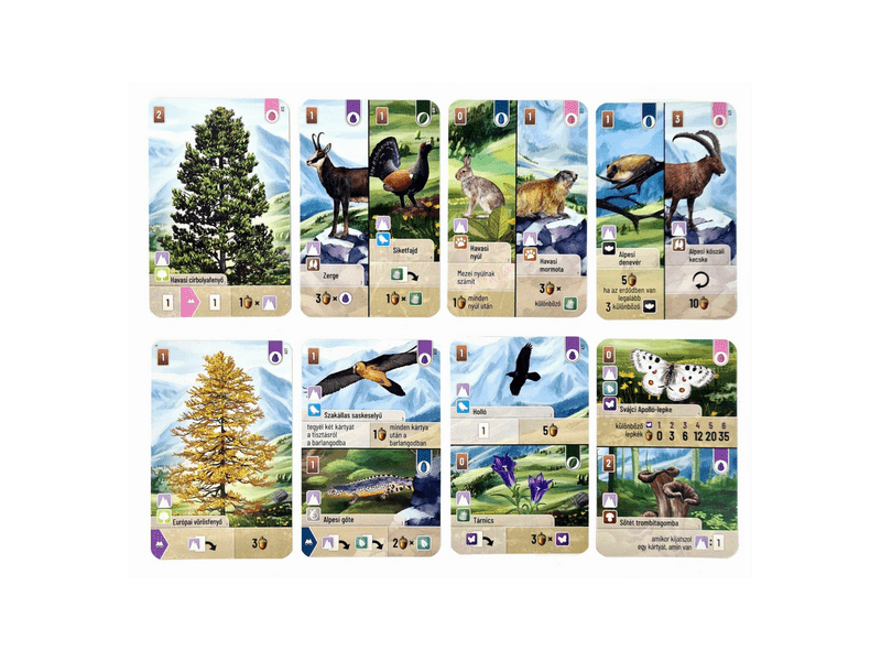 Az erdő: Alpok kiegészítő (ASM34711)