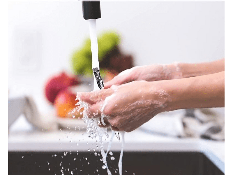 Thermopro TempSpike bežični digitalni termometar (TP-960)