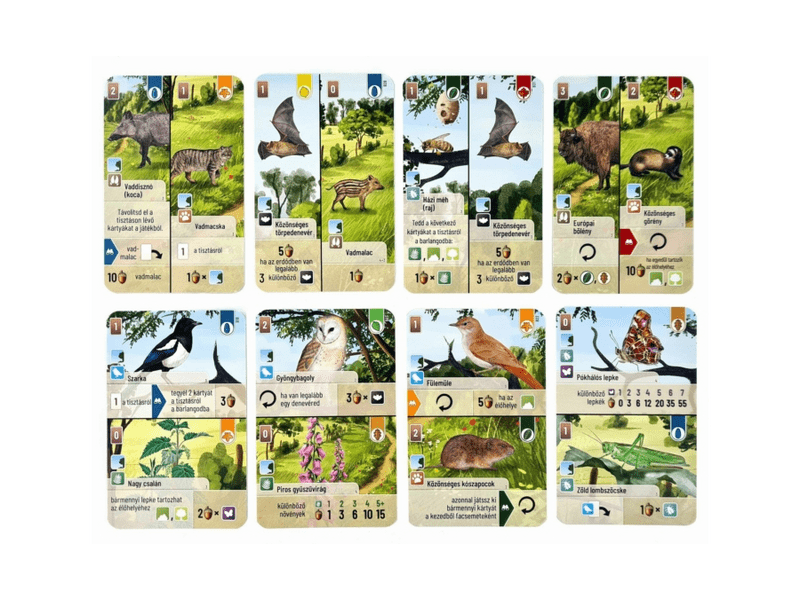 Az erdő: Cserjék kiegészítő (ASM34712)