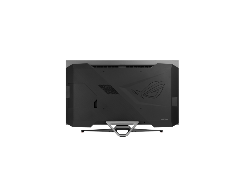 Asus 41,5 ROG Swift PG42UQ monitor-OLED