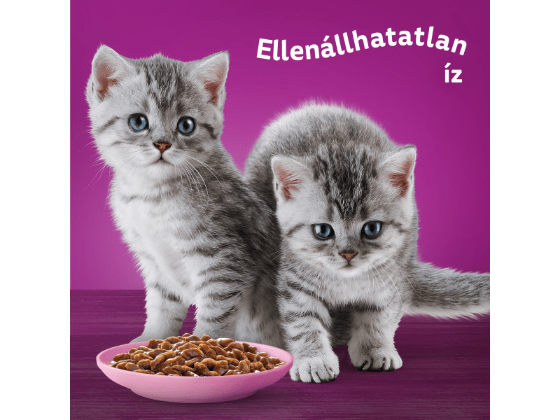 Whiskas Junior klasszikus tasakos eledel válogatás, 4x85g