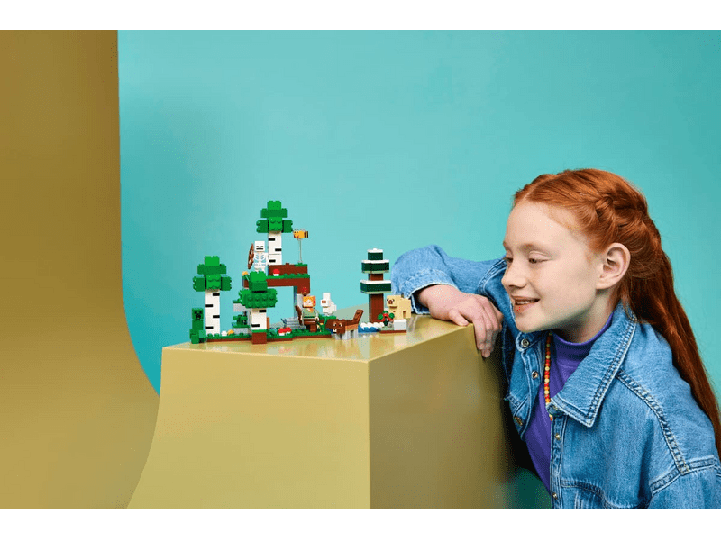LEGO® Minecraft® Az első éjszaka kalandjai (21593)