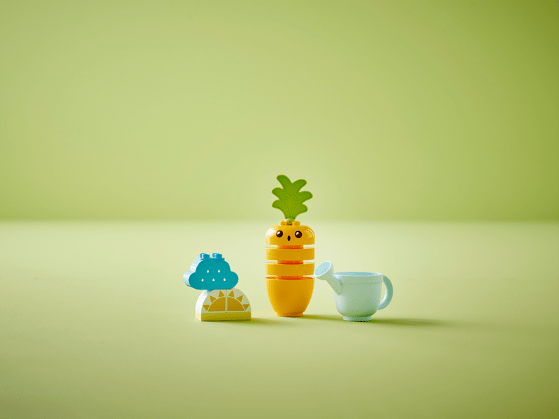LEGO® DUPLO Sárgarépa-ültetés (10981)