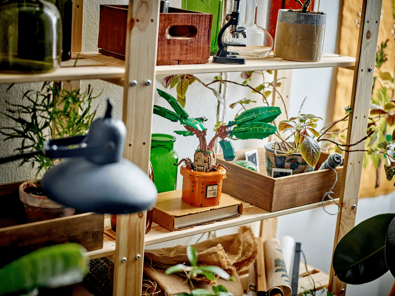 LEGO® Harry Potter™ Mandragora (76433)