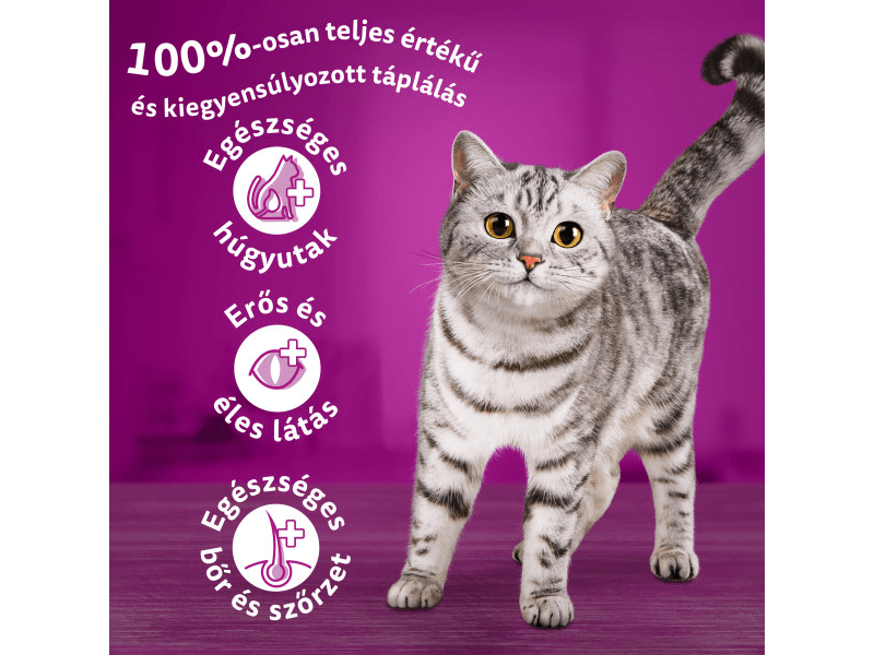 Whiskas száraztáp marhahússal felnőtt macskák számára, 300 g