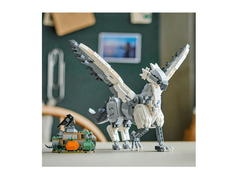 LEGO® Harry Potter™ Hogwarts™ (76427)