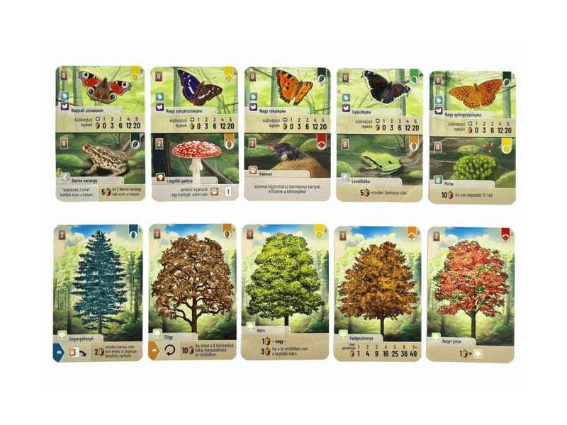 Az erdő társasjáték (34683)