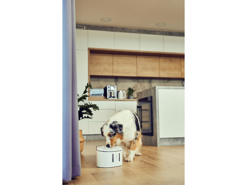 Tesla Okos háziállat itató (TSL PC-WF)