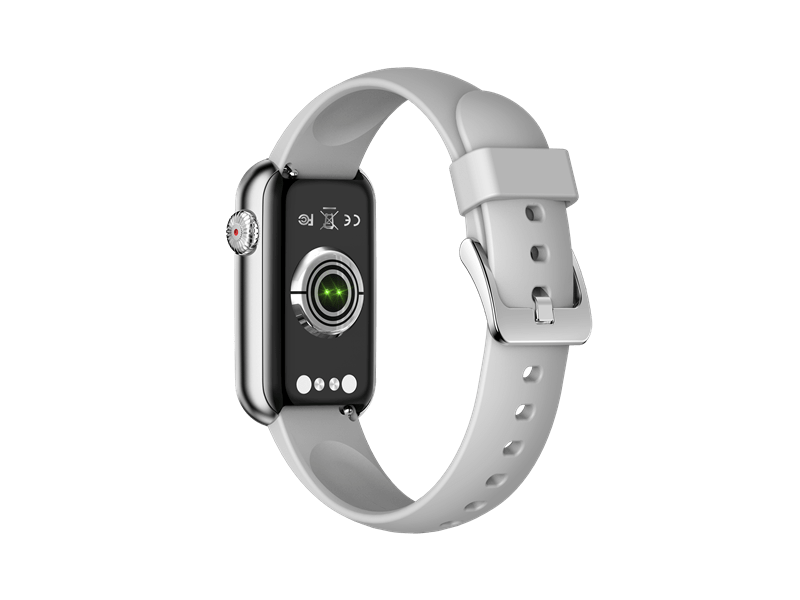 Garett Action Okosóra, ezüst