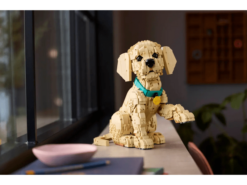 LEGO® Icons Golden retriever kutyus (11384)