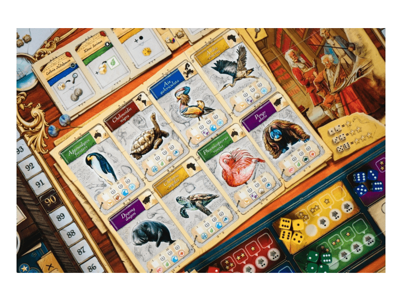 Enciklopédia Társasjáték (HGG 10001)