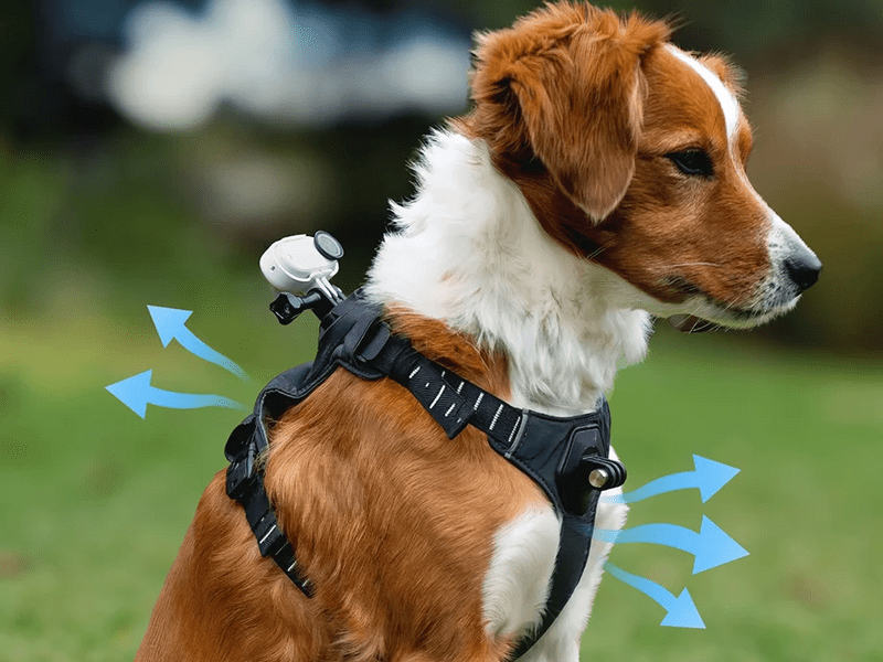 Insta360 GO 3/GO 3S kamerarögzítő kisállat hám, M méret (CINSBAVW)