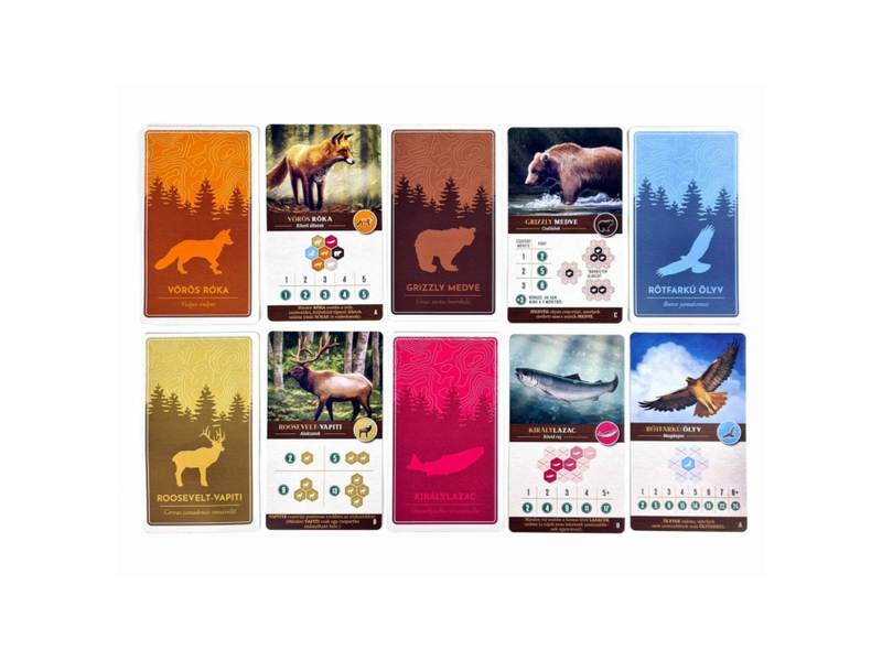 Cascadia vadvilága Társasjáték (10002)