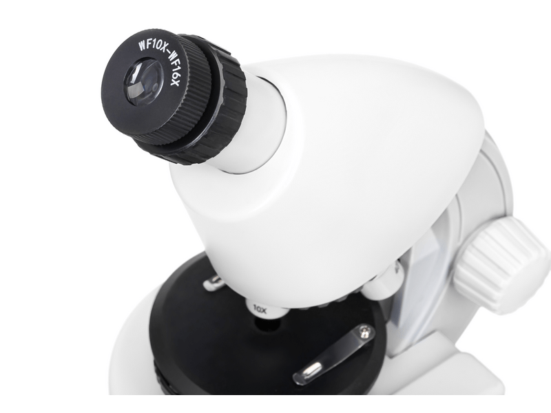 Levenhuk Discovery Micro Polar mikroszkóp és könyv (79210)