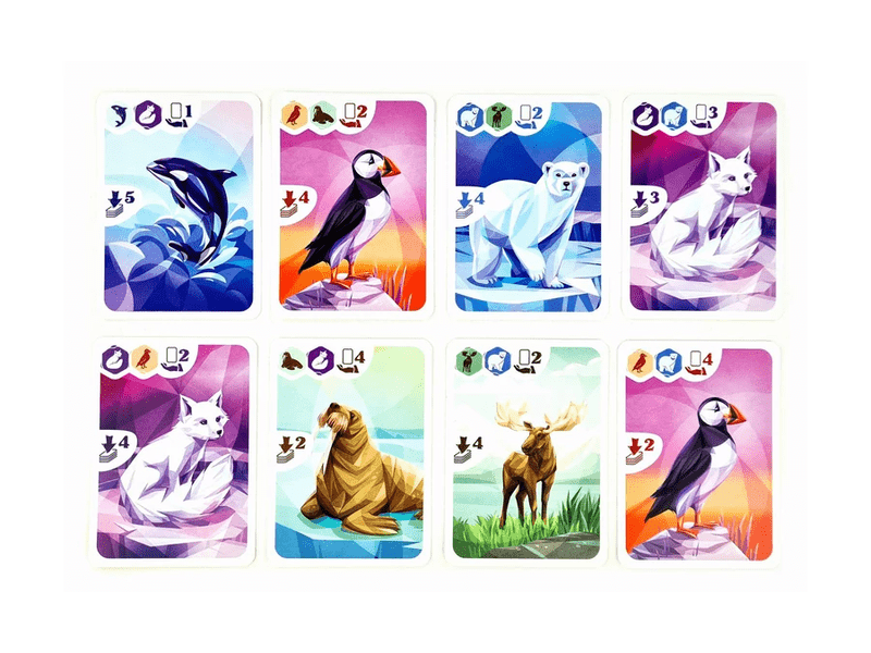 Sarkvidék Társasjáték (10002)