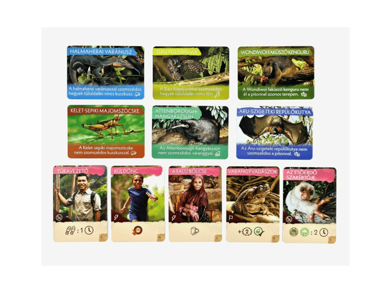 Eltűnt fajok nyomában társasjáték (REN 10002)