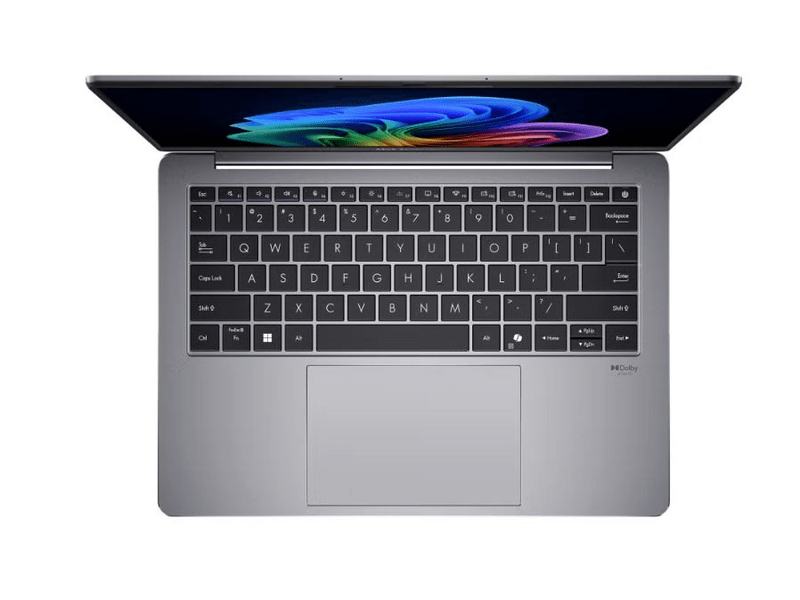 Asus ExpertBook P5 P5405CSA-NZ0397W Notebook + Windows 11