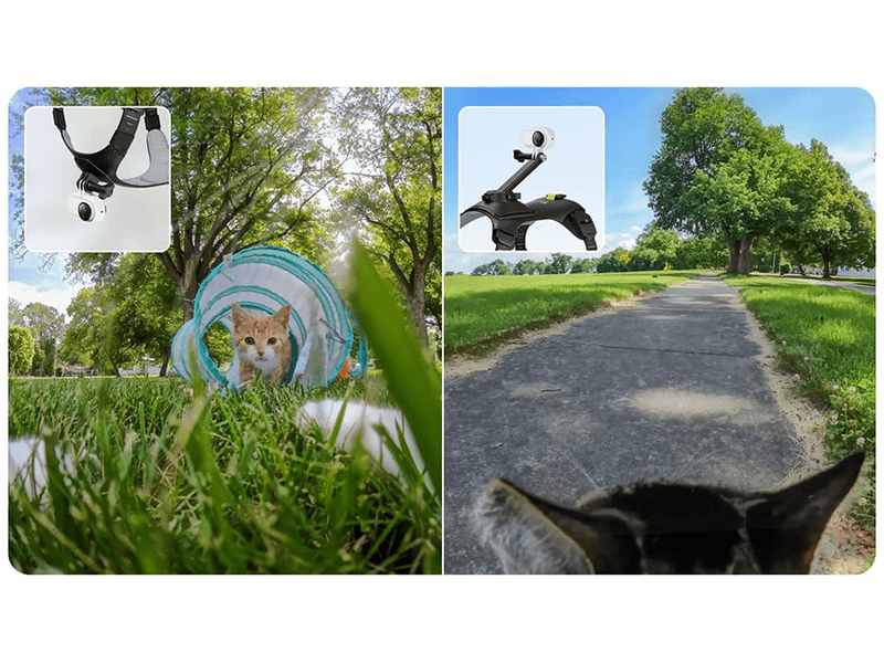 Insta360 GO 3/GO 3S kamerarögzítő kisállat hám, M méret (CINSBAVW)