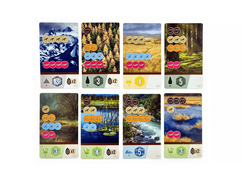 Cascadia – Gördülő dombok Társasjáték (10006)