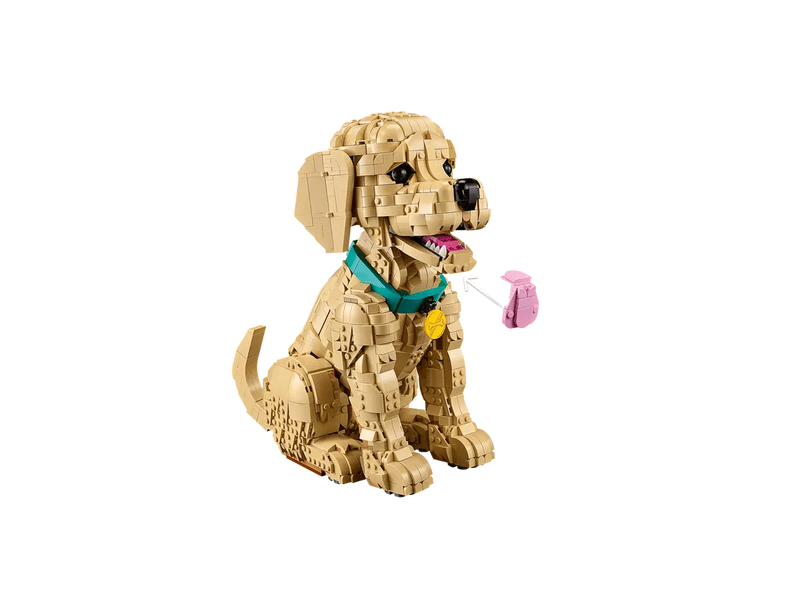 LEGO® Icons Golden retriever kutyus (11384)