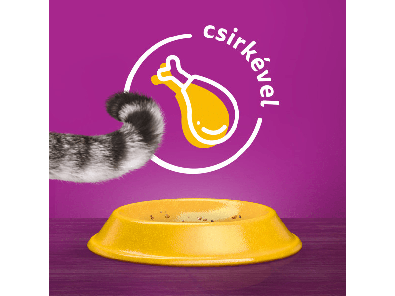 Whiskas száraztáp csirkehússal felnőtt macskák számára, 300g