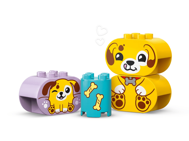 LEGO® DUPLO® First Shape Sorter: Kućica za pse (10441)
