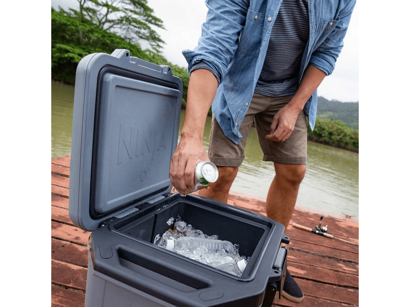 Ninja FB131EUGY Frost Vault hűtőláda, 28L