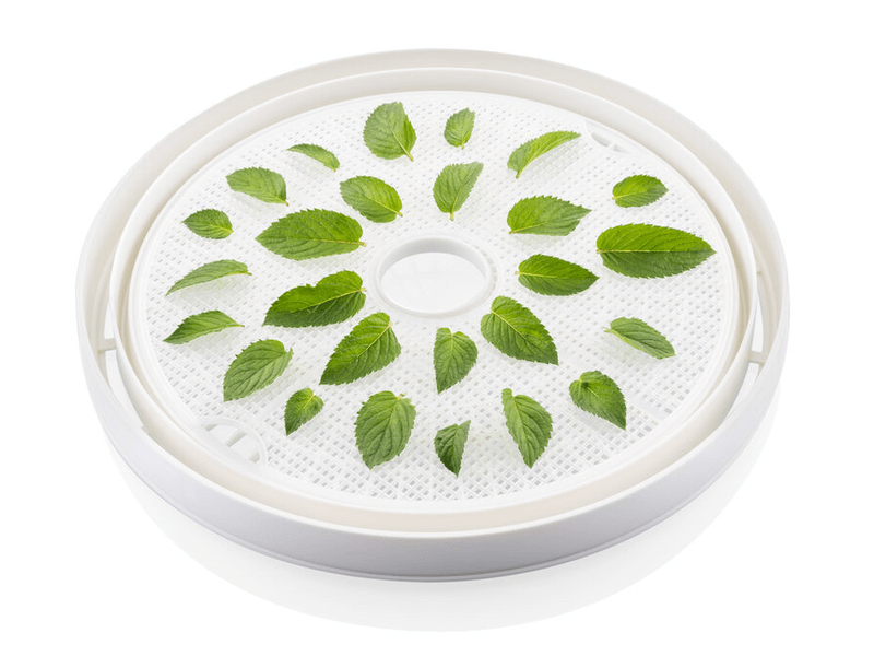 Eta Brisa Gyümölcsaszaló (1302 90000)