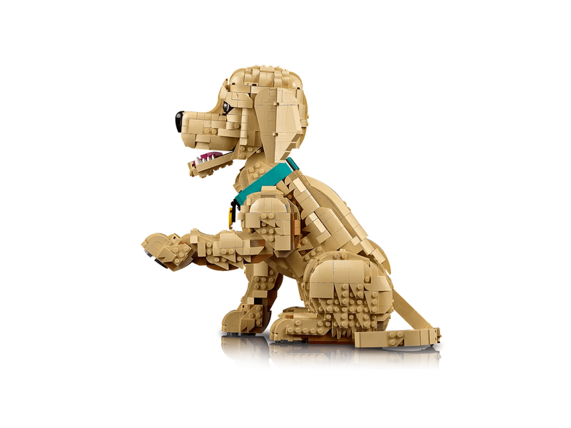 LEGO® Icons Golden retriever kutyus (11384)