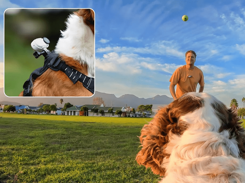 Insta360 GO 3/GO 3S kamerarögzítő kisállat hám, M méret (CINSBAVW)