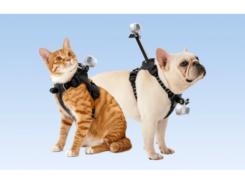 Insta360 GO 3/GO 3S kamerarögzítő kisállat hám, S méret (CINSBAVX)