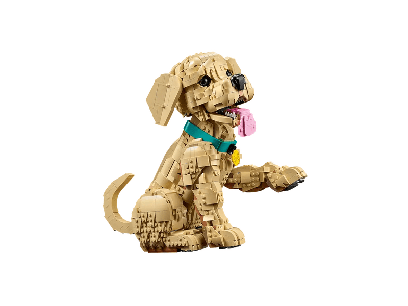 LEGO® Icons Golden retriever kutyus (11384)