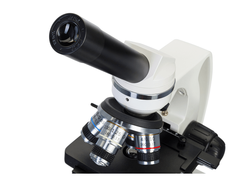 Levenhuk Discovery Atto Polar mikroszkóp és könyv (79223)