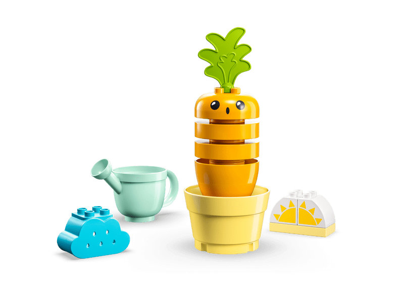 LEGO® DUPLO Sárgarépa-ültetés (10981)