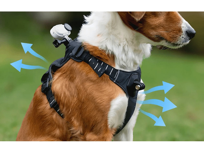 Insta360 GO 3/GO 3S kamerarögzítő kisállat hám, S méret (CINSBAVX)